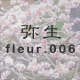 �퐶 fleur.006