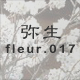 �퐶 fleur.017