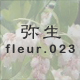 �퐶 fleur.023