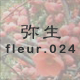 �퐶 fleur.024