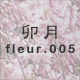 �K�� fleur.005