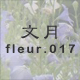 ���� fleur.017