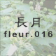 ���� fleur.016