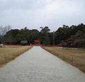 �L�������̉��ɍדa������