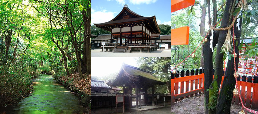 �����_��