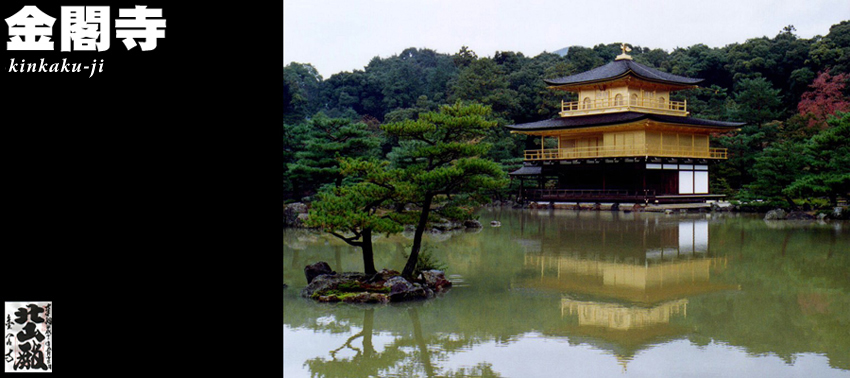 ���t�i�������j