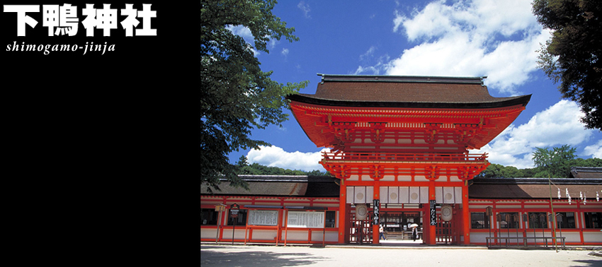 �����_��